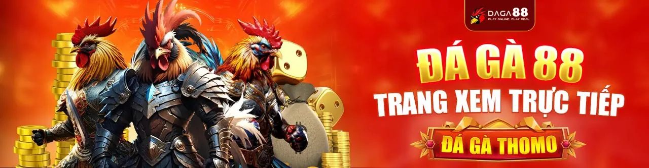 Đá gà trực tiếp tại mm9 chính thức