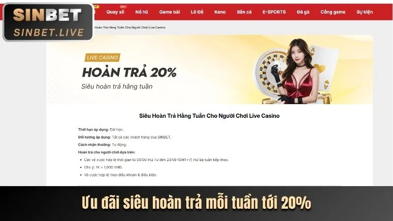 Thông tin về các chương trình khuyến mãi và ưu đãi độc quyền từ mm9 chính thức